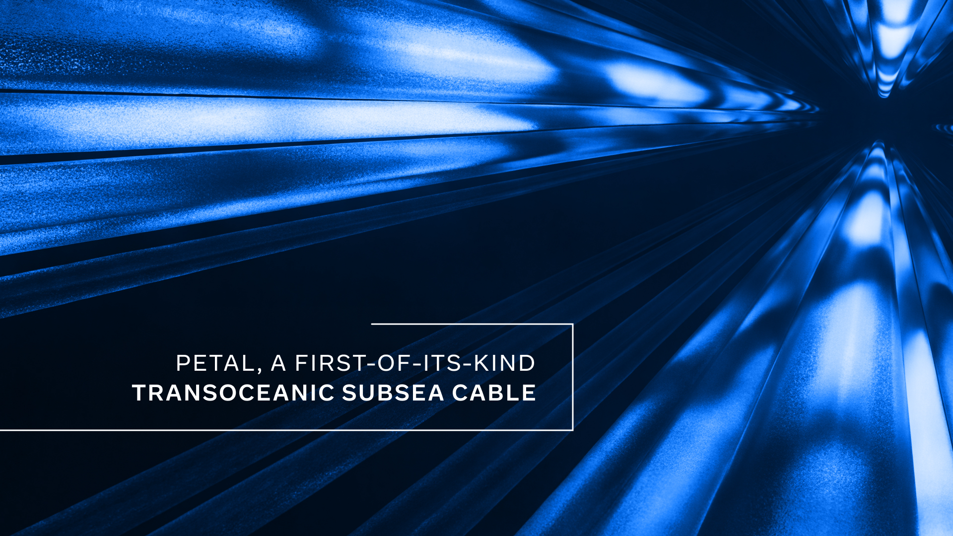 Concept illustration of Petal transoceanic subsea cable
